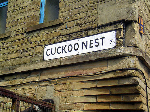 Cuckoo Nest