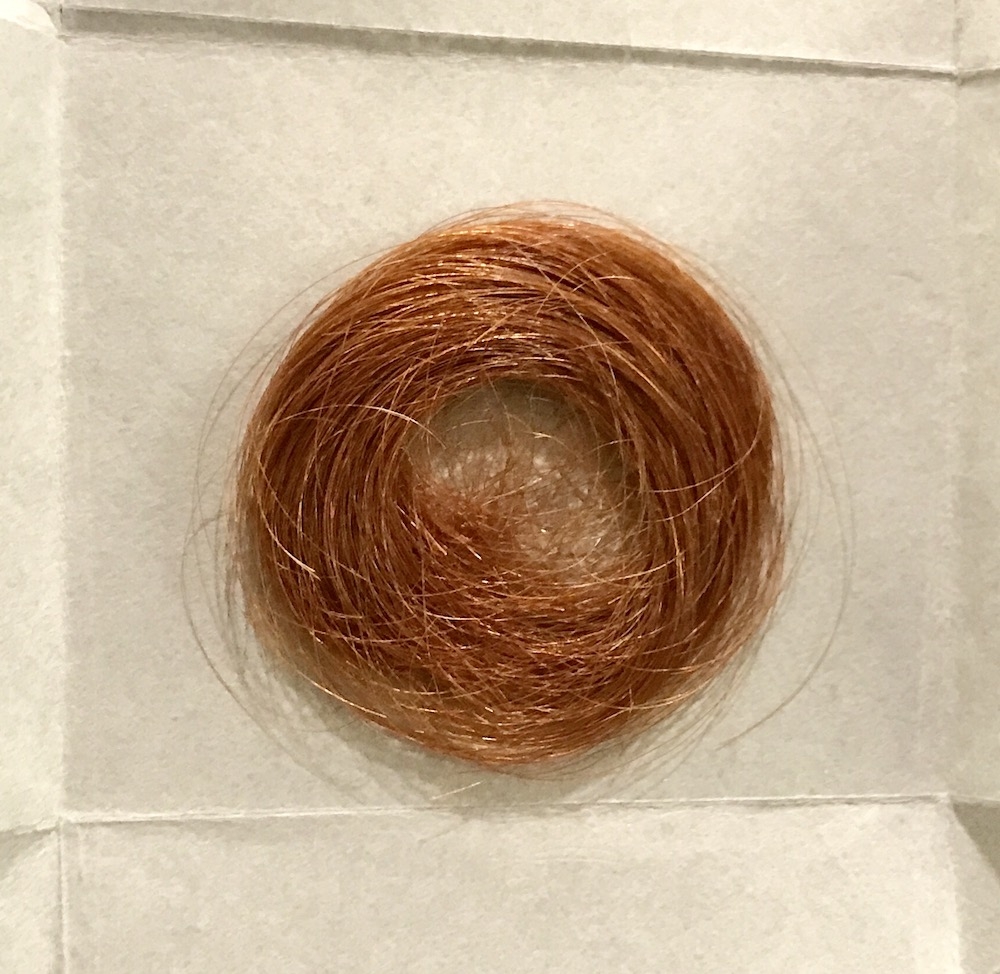 A lock of Emily Dickinson's hair