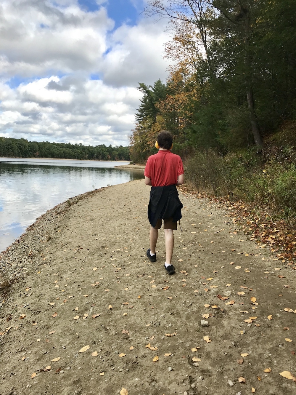 Dylan walking